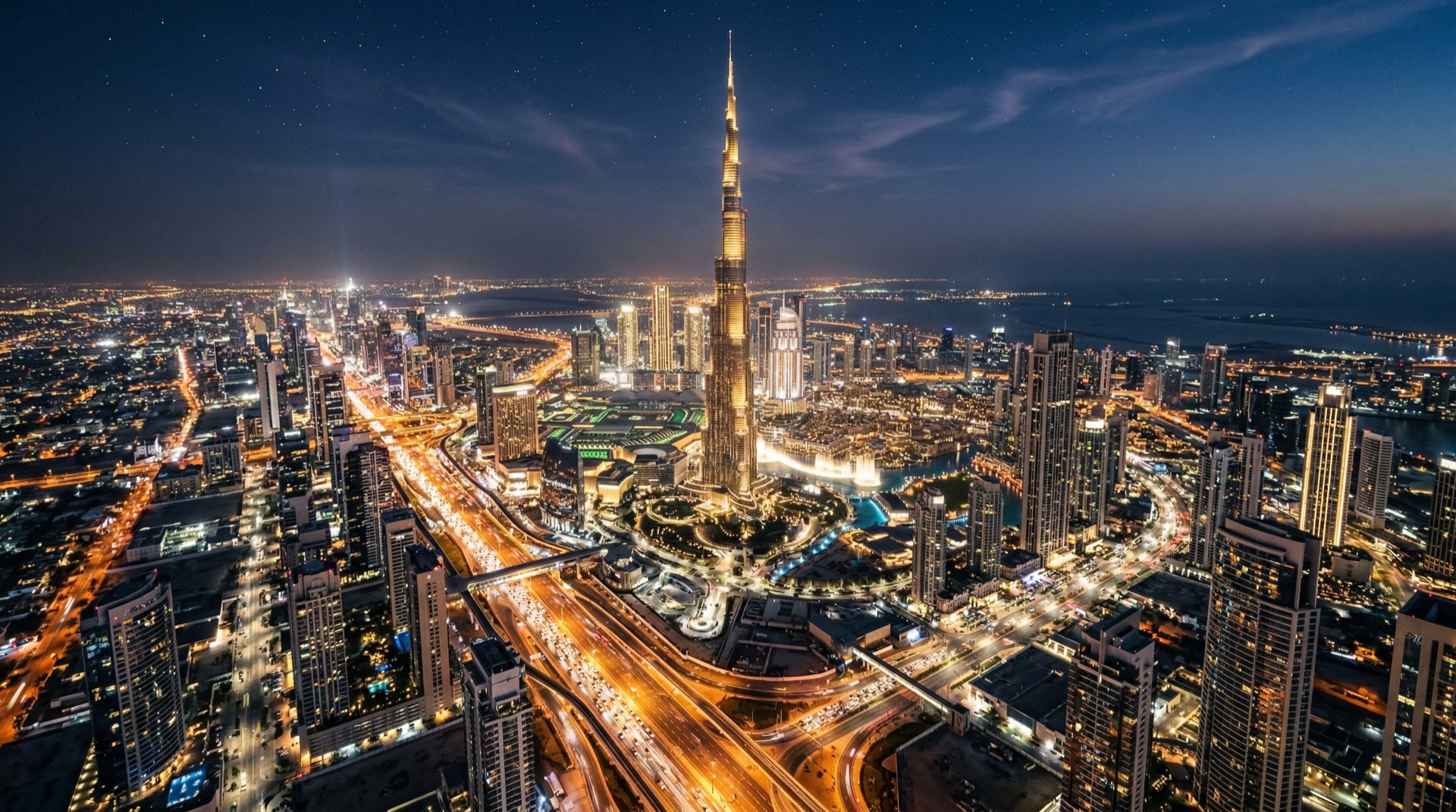 OREX night city